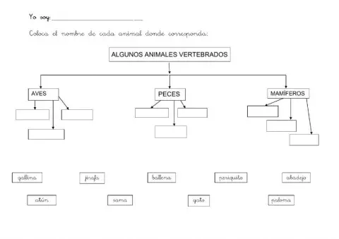 Clasidficación de algunos animales vertebrados