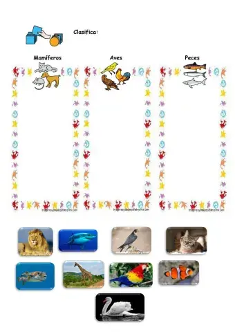 Mamíferos, peces y aves