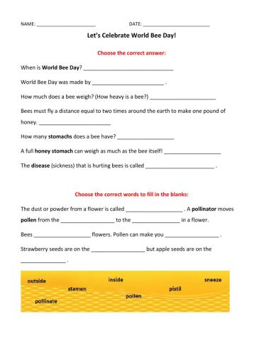 Let's Celebrate World Bee Day!