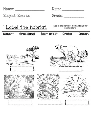 Animal Habitats- Wednesday