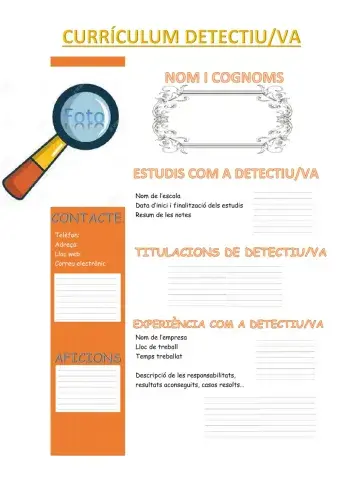 Currículum detectiu