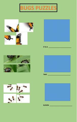 Bug puzzles