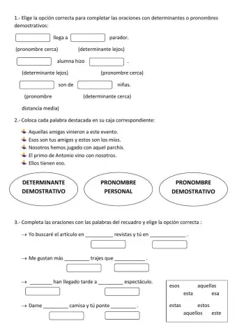 Determinantes y pronombres