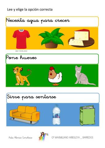 Lee y selecciona la imagen correcta