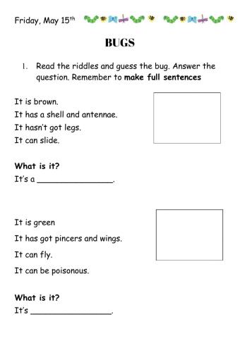 Bug Riddles