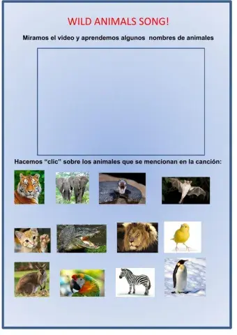 Wild animals song and activity