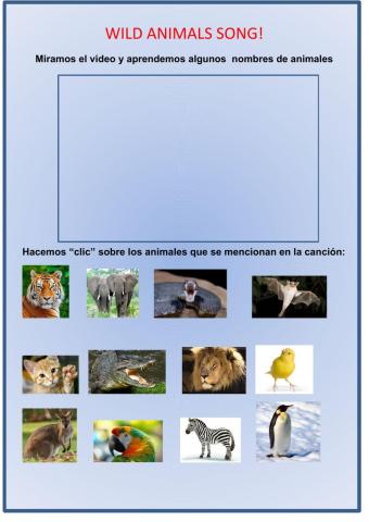 Wild animals song and activity