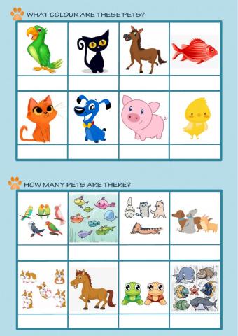 PETS: colours & numbers