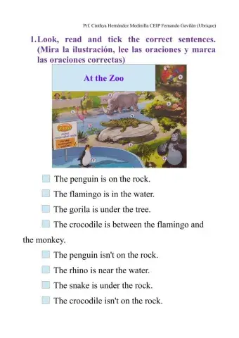 Where are the animals?