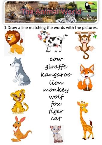 The Animal World