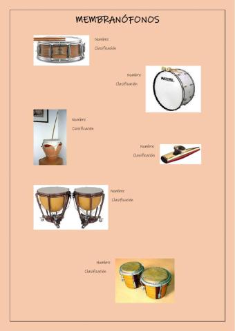Membranófonos