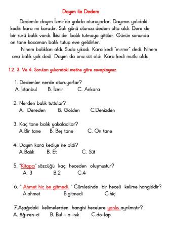 Türkçe okuma anlama