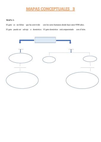 Mapas conceptuales 3