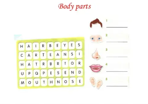 Body parts