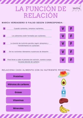 La función de nutrición