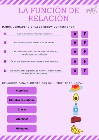 La función de nutrición