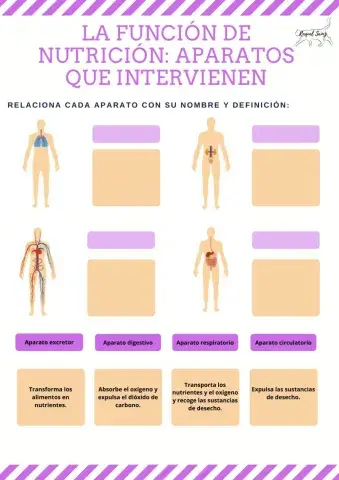 La función de nutrición: aparatos