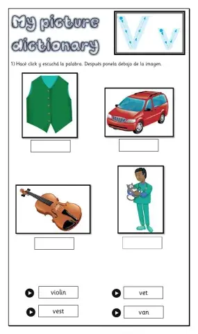 Picture Dictionary V