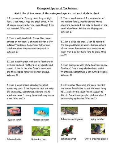 Endangered Species of The Bahamas