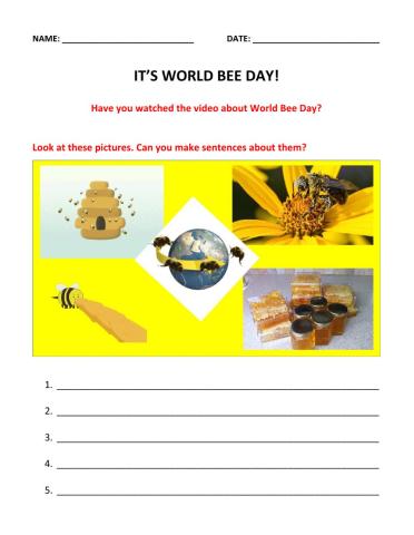 World Bee Day paragraph writing
