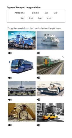 Types of transport