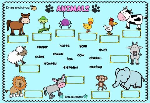 Animals (Drag-drop)