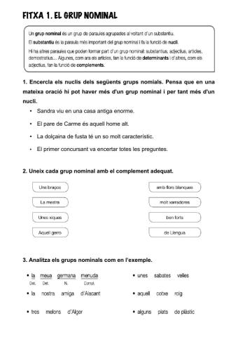El grup nominal