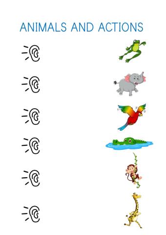 Animals and actions