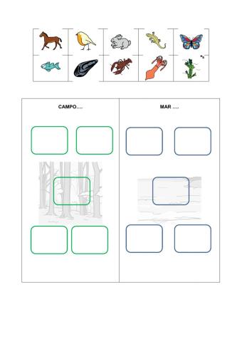 Clasifica según sean del bosque o del mar