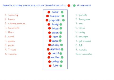 Picture Dictionary Review