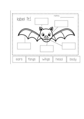 Labelling bat body