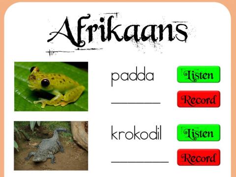 Afrikaans Animals
