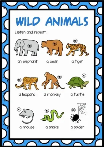 Wild animals 1. Listen and repeat
