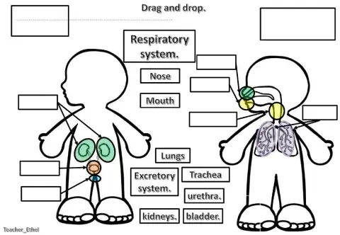 Nutrition function part 2