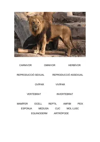 Característiques d'animals