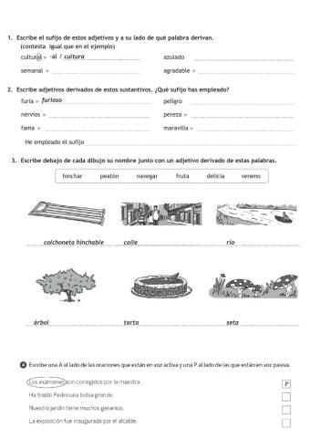 RosaLux ficha repaso tema 11