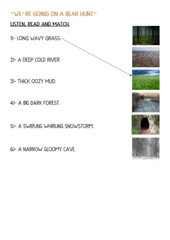 We-re going on a bear hunt