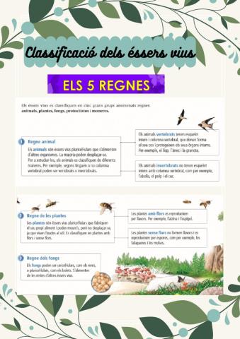 Classificació dels éssers vius