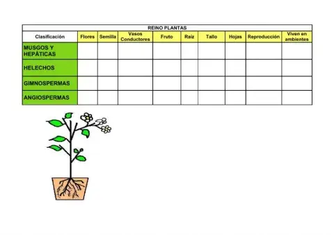 Caracterñisticas plantas
