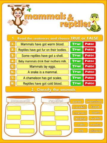 Mammals and reptiles