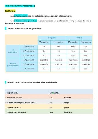 Posesivos (ii)