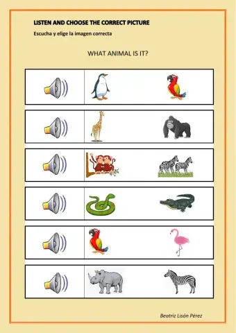 Listen and choose. Zoo animals
