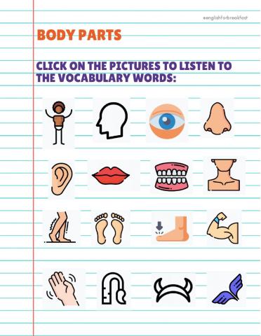 Body parts