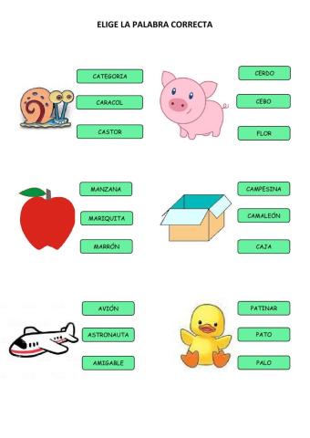 Elige la palabra correcta
