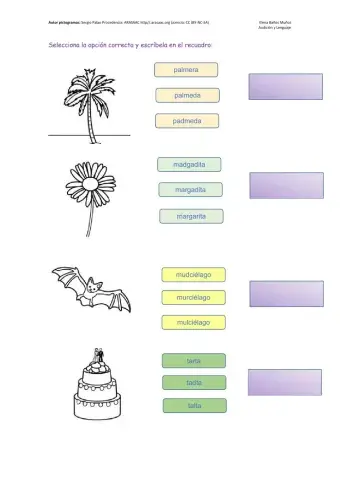 Discriminación fonemas r-d