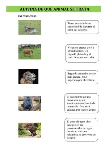 Descripciones de animales.