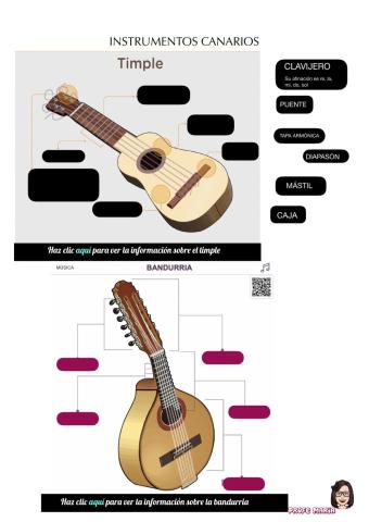 Instrumentos canarios
