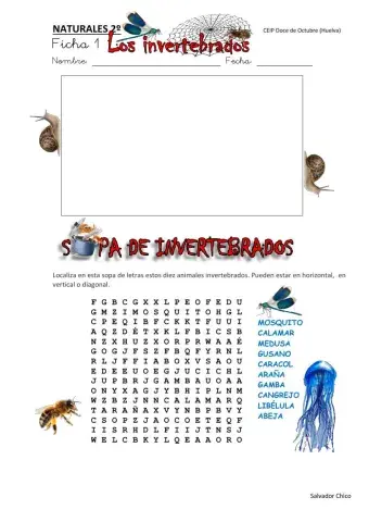 Animales invertebrados 1