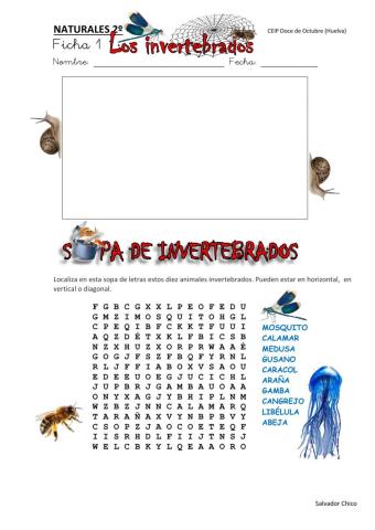 Animales invertebrados 1