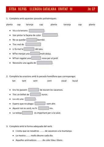 FITXA REPÀS UNITAT 10 CATALÀ 3r EP